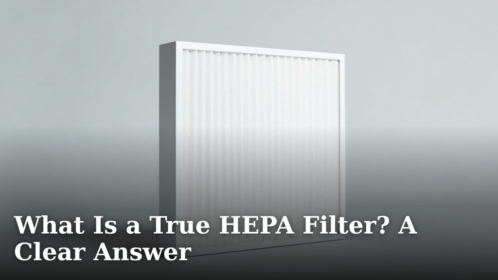 What Is a True HEPA Filter? A Clear Answer